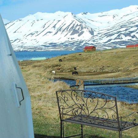 Sky Sighting Igluhus - Stay'In Arbakki Arskogssandur Eksteriør billede